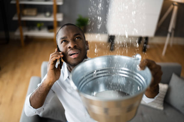 Best Basement water damage restoration  in Polkton, NC