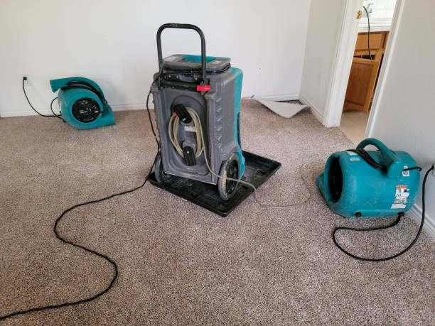 Best Flood damage cleanup  in Polkton, NC