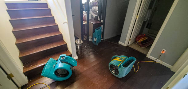 Best Professional water damage repair  in Polkton, NC