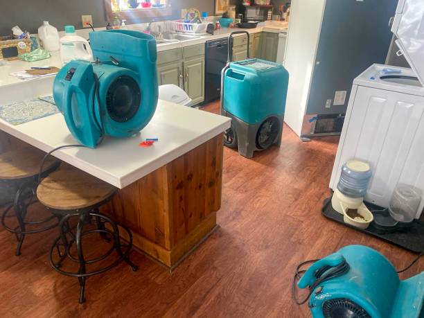 Best 24-hour water damage restoration  in Polkton, NC