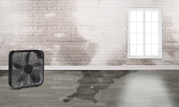 Best Flood restoration services  in Polkton, NC