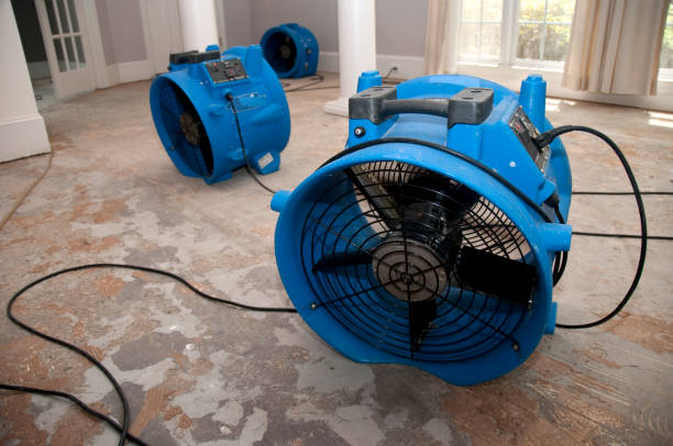 Best Professional water damage repair  in Polkton, NC