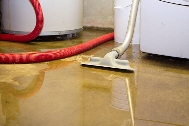 Best Carpet water damage restoration  in Polkton, NC