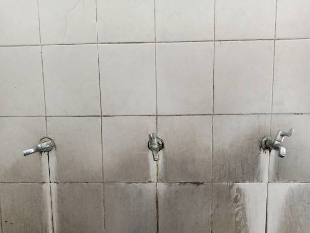 Best Sewage cleanup and water damage restoration  in Polkton, NC